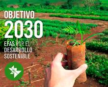 Objetivo2030